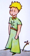 le link au site officiel du petit prince